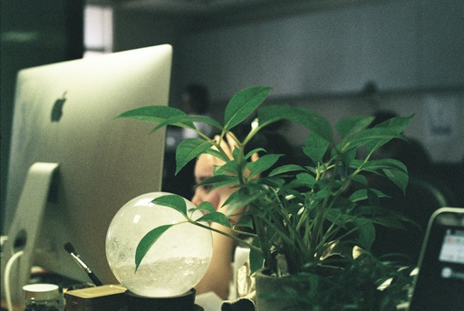 Website Consultation